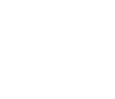 Logo Raices